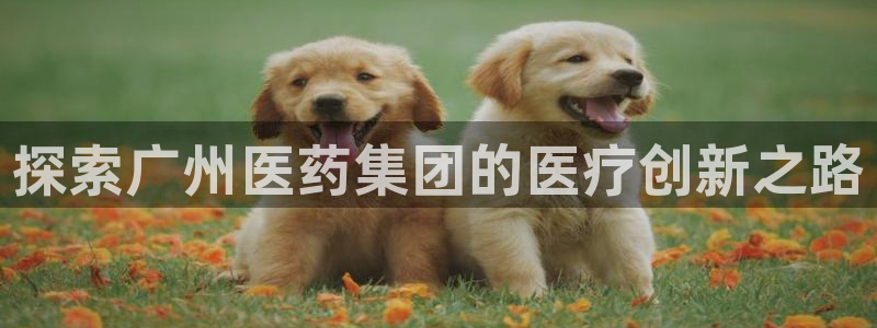 ag8九游