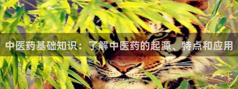 九游j9