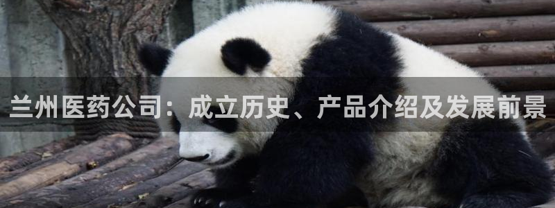 九游会ag私享
