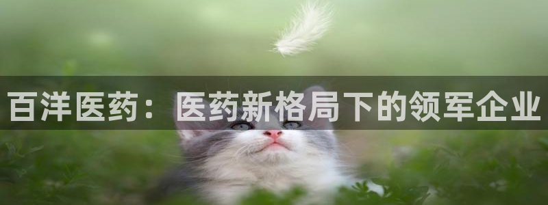 九游会官网进入