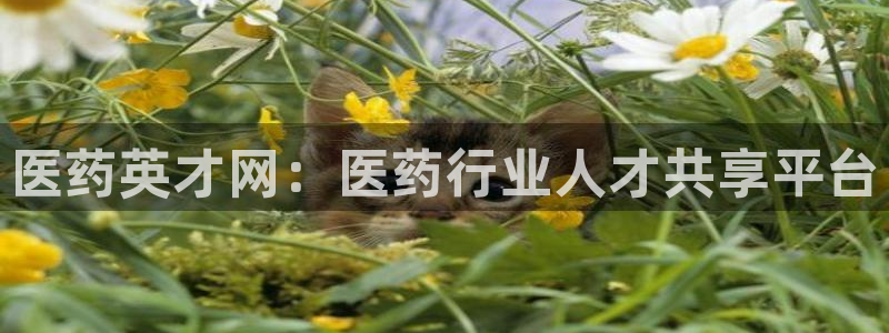 j9九游会登陆入口
