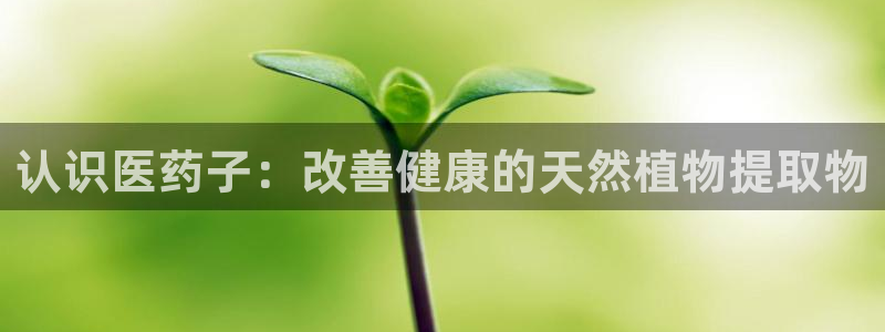 九游会提款快吗