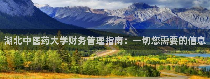 九游会app下载版官网正版安卓